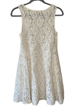 Free People sheer lace mini dress